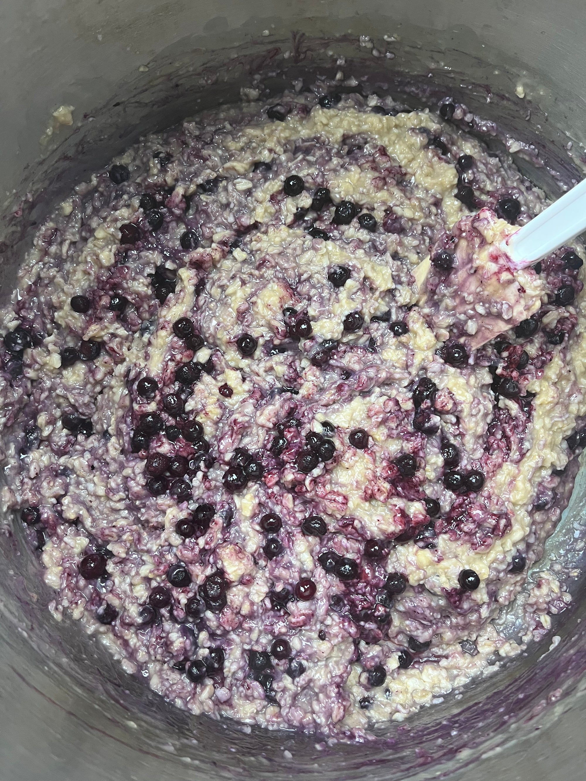 Oatmeal with Wild Blueberries